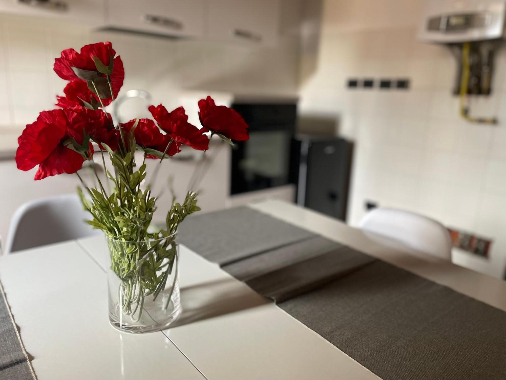 Scaligeri House Apartment เวโรนา ภายนอก รูปภาพ
